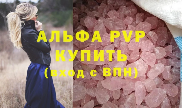 стафф Россошь